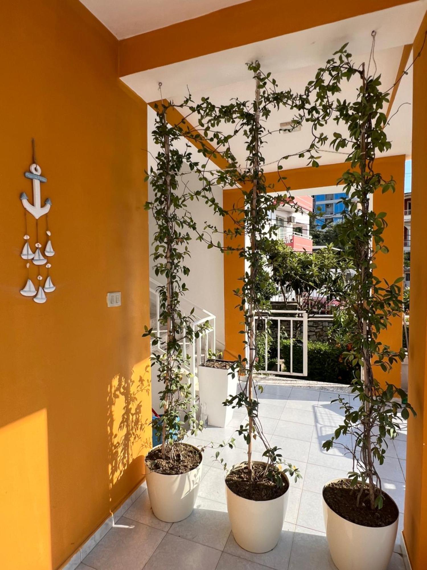 Mimi's Apartment Vlorë